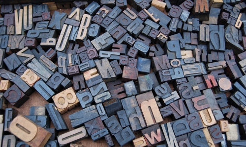 저녁 숲에 내리는 황금...